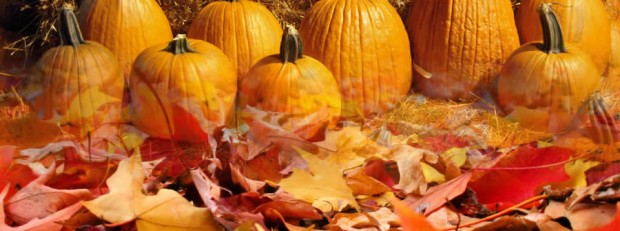 Trunk or Treat at Vantage Pointe