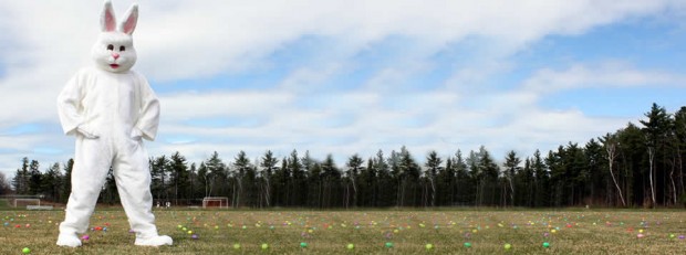 Easter Egg-stravaganza 2013