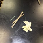 Dead, Broken or Incomplete